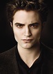 Edward. La Saga Twilight : Tentation v.f. de New Moon. | Robert ...