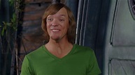 Image - Shaggy Rogers (Matthew Lillard).png | Scoobypedia | Fandom ...