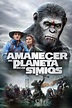 Ver El Planeta de los Simios: Confrontación online HD - Repelis 24