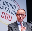 Friedrich Merz: „Diese Bundesregierung ist stehend k.o.“ - WELT