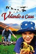 Ver Volando a casa (1996) HD 1080p Latino - Vere Peliculas