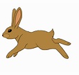 rabbit-animation.gif (458×432) | Konijn, Gif