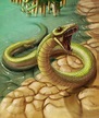 Najash.A Cretaceous basal snake, which grew to up to 5 feet long. It ...