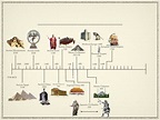 Ancient Civilizations Timeline Printable