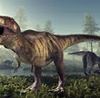 Paläontologie: Tyrannosaurus Rex war viel größer als gedacht - WELT