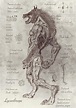 Lycanthrope ~ illustration / digital : Art
