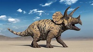 Triceratops: Steckbrief + 7 Merkmale des Dinosauriers » schreiben.net