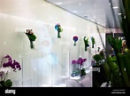 An Armani flower shop in Hong Kong with a ghostly projection of a woman ...