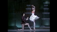 Darcey Bussell - "Rose and the Prince" from Prince of the Pagodas - YouTube