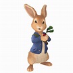 Peter Rabbit Holding Radish transparent PNG - StickPNG
