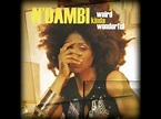 N'Dambi – A Weird Kinda Wonderful (2005, CD) - Discogs
