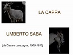 PPT - LA CAPRA UMBERTO SABA PowerPoint Presentation - ID:4508394