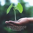 1 Corinthians 3:7 | Seed quotes, Planting seeds quotes, Daily bible verse