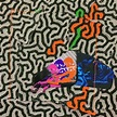 Animal Collective Detail 'Tangerine Reef' LP | Exclaim!