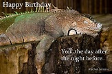 "Happy Birthday - Iguana" Posters by Rachel Jenkins | Redbubble