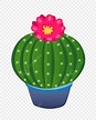 Flor Verde Cactus Cactus PNG , Florecer, Verde, Cactus PNG y Vector ...