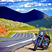 Holly Davidson Motorcycles: A Ride to Remember - Motor QA