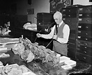 CHARLES W. GILMORE (1874-1945). American paleontologist (Photos Framed ...