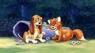The Fox and the Hound (1981) - Backdrops — The Movie Database (TMDB)