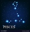 The pisces zodiac sign of the beautiful bright Vector Image