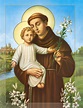 CATHOLIC TRADITION: ST. ANTHONY OF PADUA