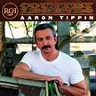 BPM and key for The Call Of The Wild by Aaron Tippin | Tempo for The ...