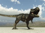 Echte Giganten - Dinosaurier | Lingo - Das Mit-Mach-Web