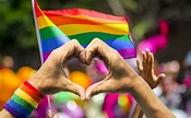 Dia Internacional do Orgulho LGBT é celebrado nesta quinta (28)