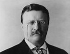 Theodore Roosevelt, Biografía - Biosiglos
