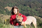 與「真狼」拍電影入山培養感情 童星被狼群當「老大」食物讓給她