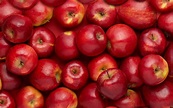 Variedades de manzana - Aprende a diferenciarlas y a usarlas en la cocina