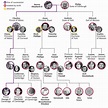 The Complete British Royal Family Tree and Succession Line (2023)