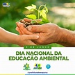 Feliz dia Nacional da Educação Ambiental - Prefeitura Municipal de ...