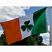 Ireland Shamrock Flag 3 X 5 ft. Standard