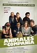 Animales de compañía - película: Ver online en español