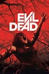 Evil Dead (2013) - Reqzone.com