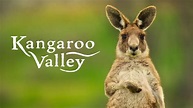 Kangaroo Valley - Netflix Documentary - Where To Watch