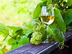 Vinho Verde, the Portuguese "green wine" - Aveine - Blog
