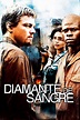 Ver Diamante de sangre online HD - Cuevana 2