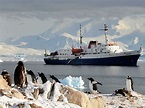Islas Shetland del Sur: lo que aún no sabes de este archipiélago antártico