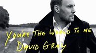 David Gray - You're The World To Me - Live (Official Audio) - YouTube