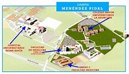 Universidad de Córdoba - Departamento de Ciencias Morfológicas y ...