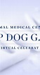 AMC Top Dog Gala (2020) - News - IMDb