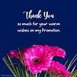 Thank You Messages For Promotion - WishesMsg (2023)