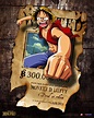 One piece Wanted Posters by Spencer96 on DeviantArt