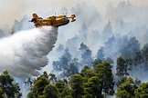 Wildfires around the world: In pictures | World Economic Forum