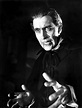 Horror of Dracula - Dracula Photo (17205088) - Fanpop