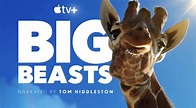 Apple dévoile la série nature " Big Beasts " pour le Jour de la Terre