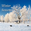 Copy of 03 Winter Season | PosterMyWall