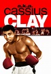 Watch A.K.A Cassius Clay (1970) Full Movie Free Online Streaming | Tubi